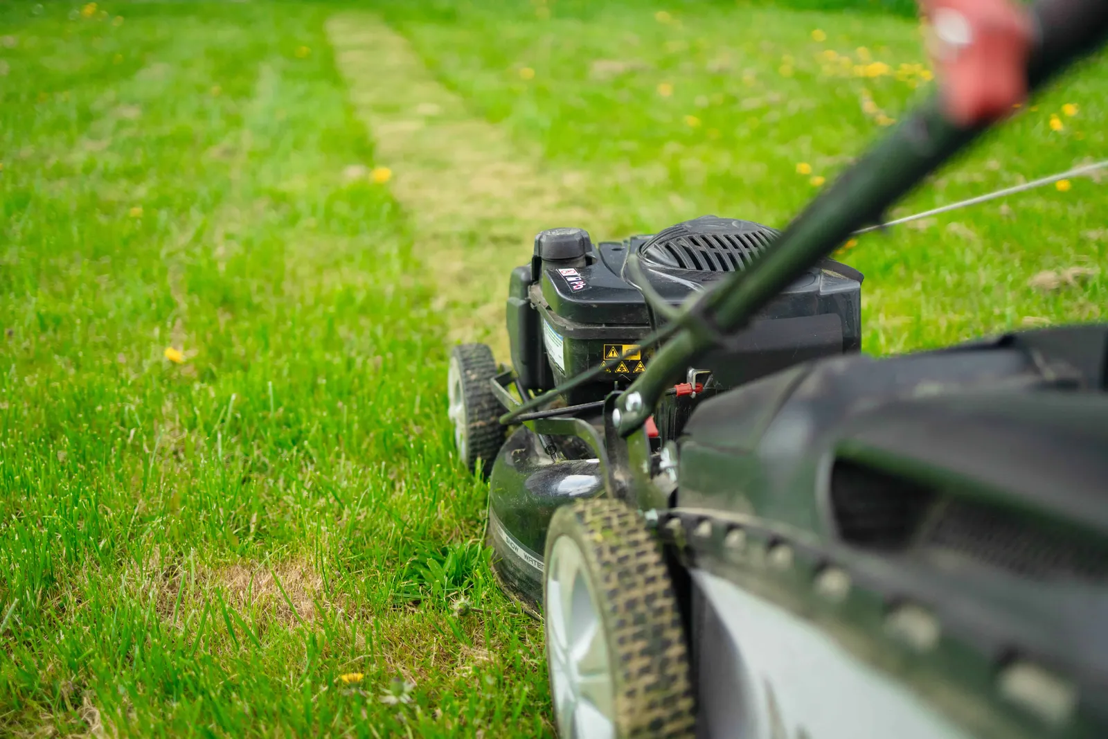 lawn mover on green grass in modern garden machin 2023 11 27 04 54 44 utc min
