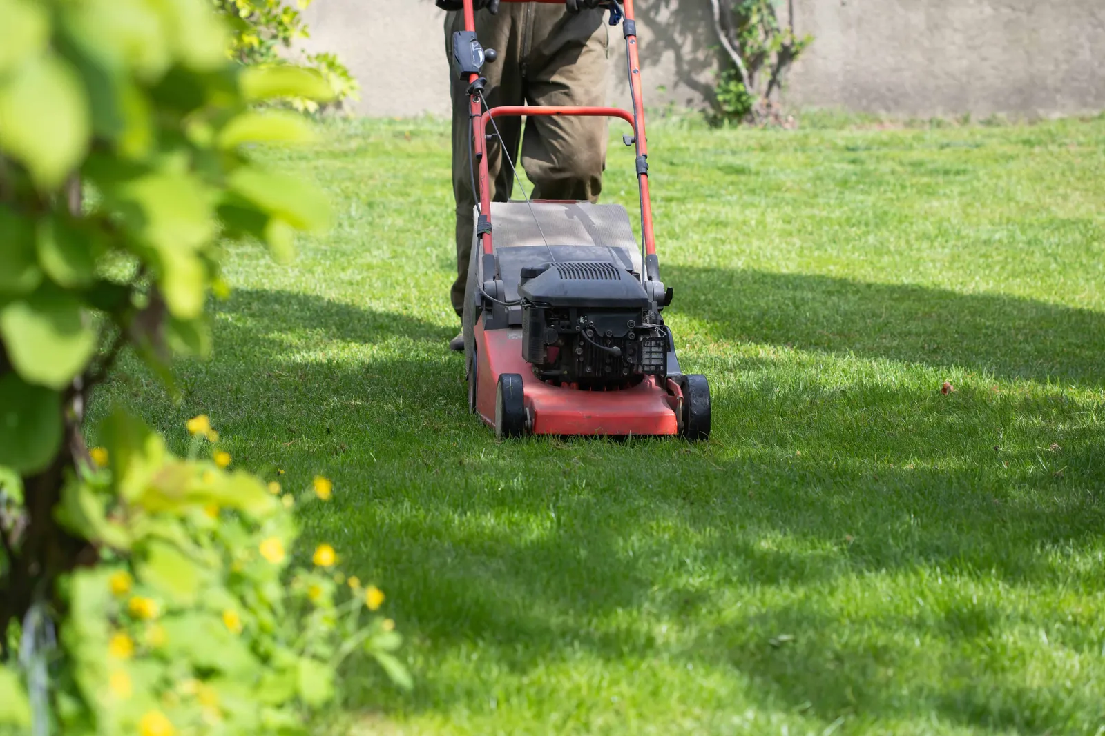 lawn mover on green grass. machine for cutting lawns.