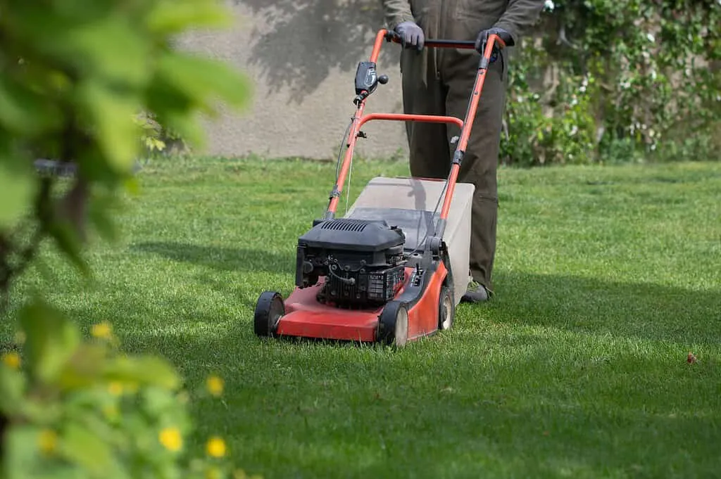 lawn mover on green grass. machine for cutting lawns.