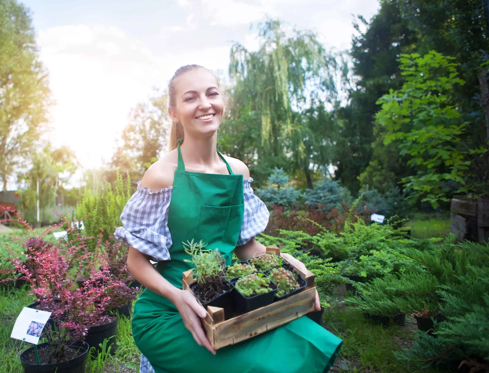 woman holding a box with plants in her hands in garden center